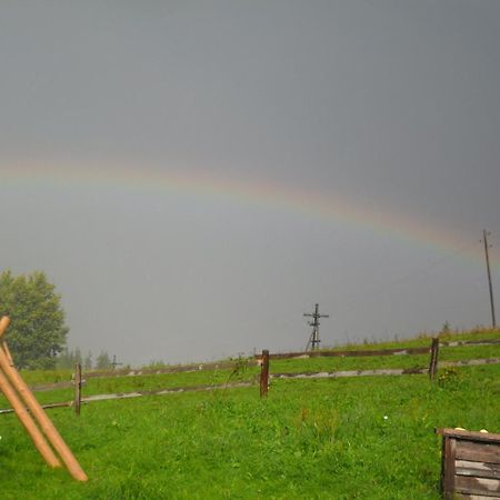 Lisovychok Villa Vorohta Kültér fotó
