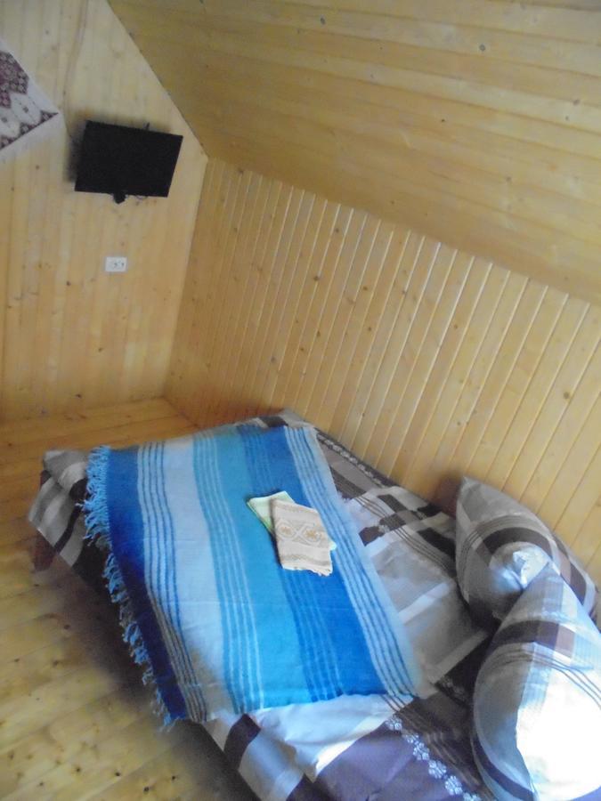 Lisovychok Villa Vorohta Kültér fotó