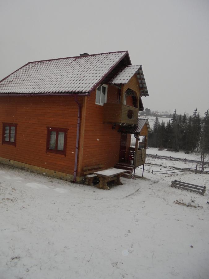 Lisovychok Villa Vorohta Kültér fotó