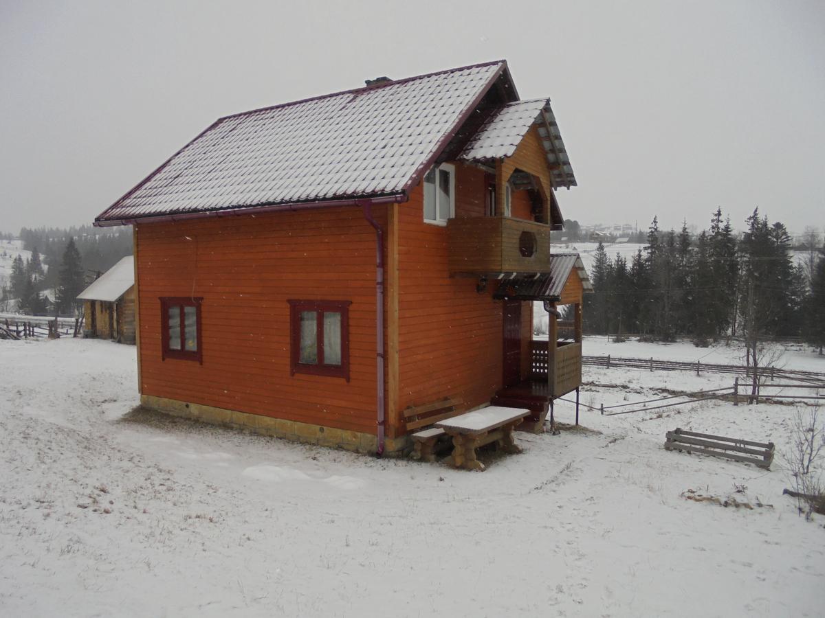 Lisovychok Villa Vorohta Kültér fotó