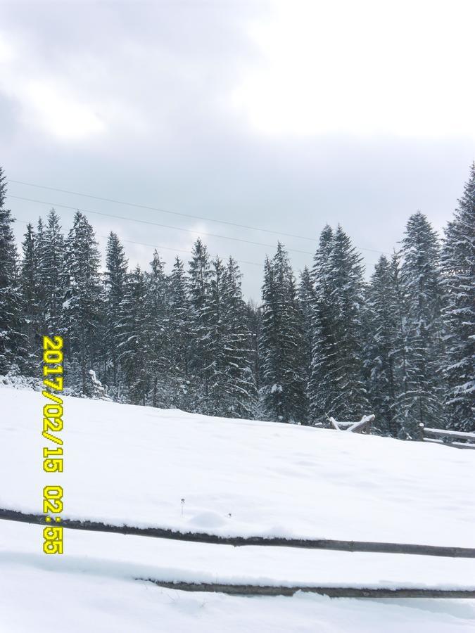 Lisovychok Villa Vorohta Kültér fotó