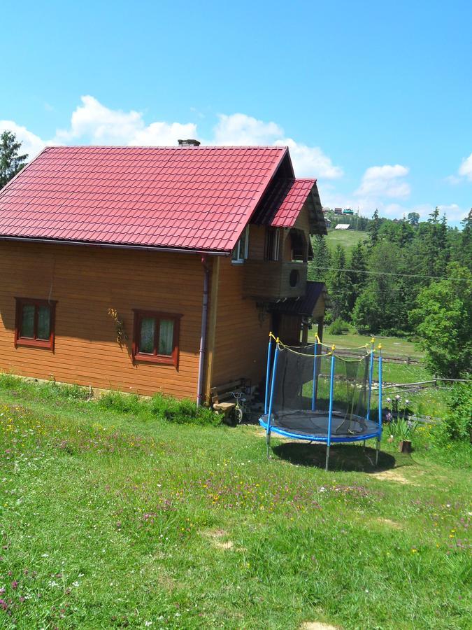 Lisovychok Villa Vorohta Kültér fotó