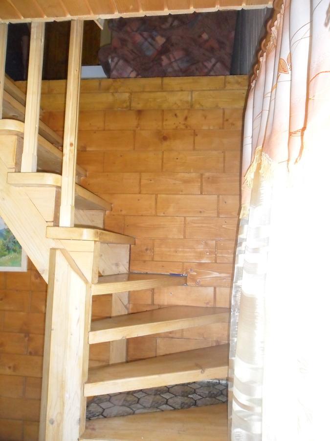 Lisovychok Villa Vorohta Kültér fotó