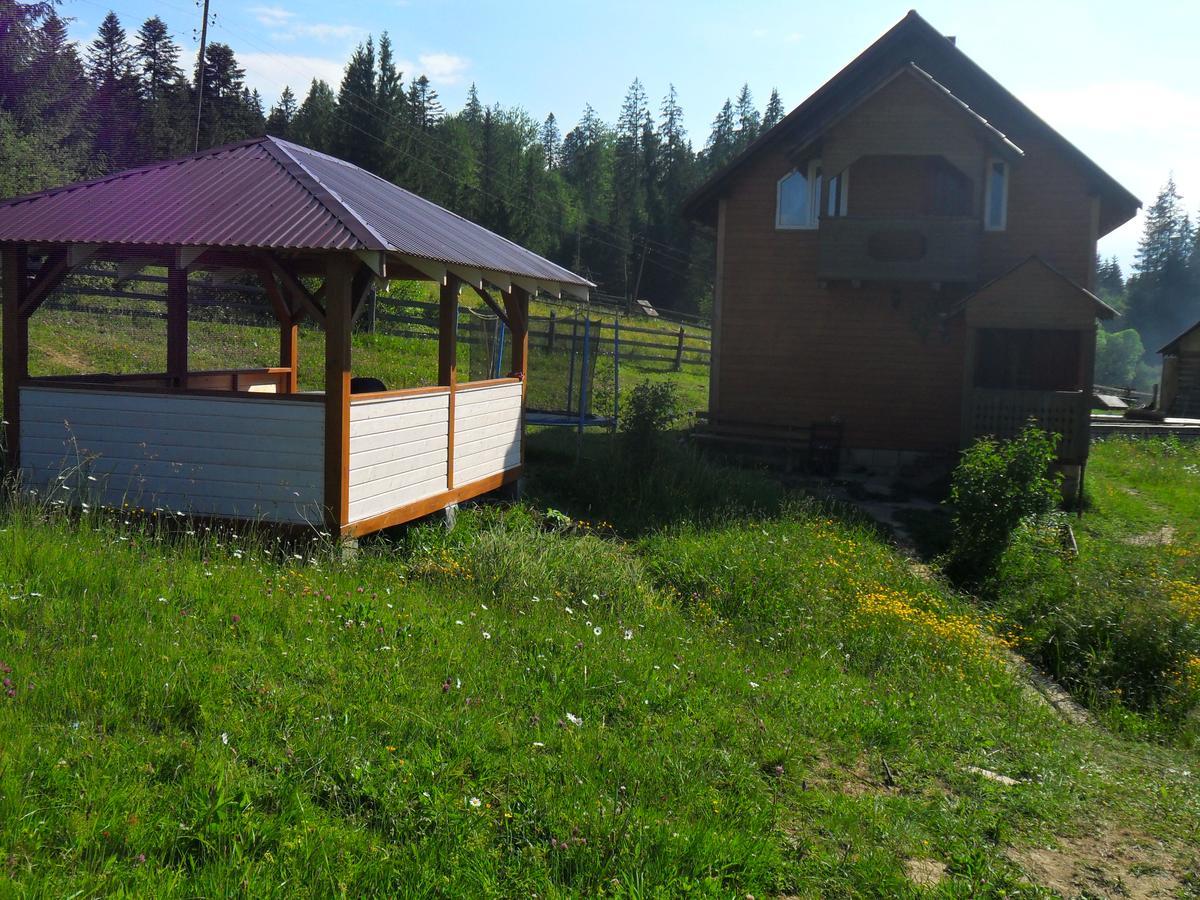 Lisovychok Villa Vorohta Kültér fotó